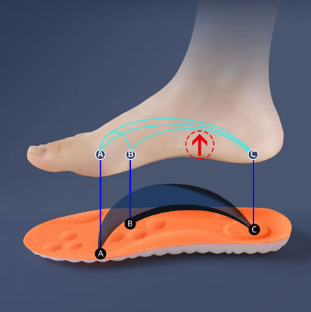 Ergonomische Schuheinlage